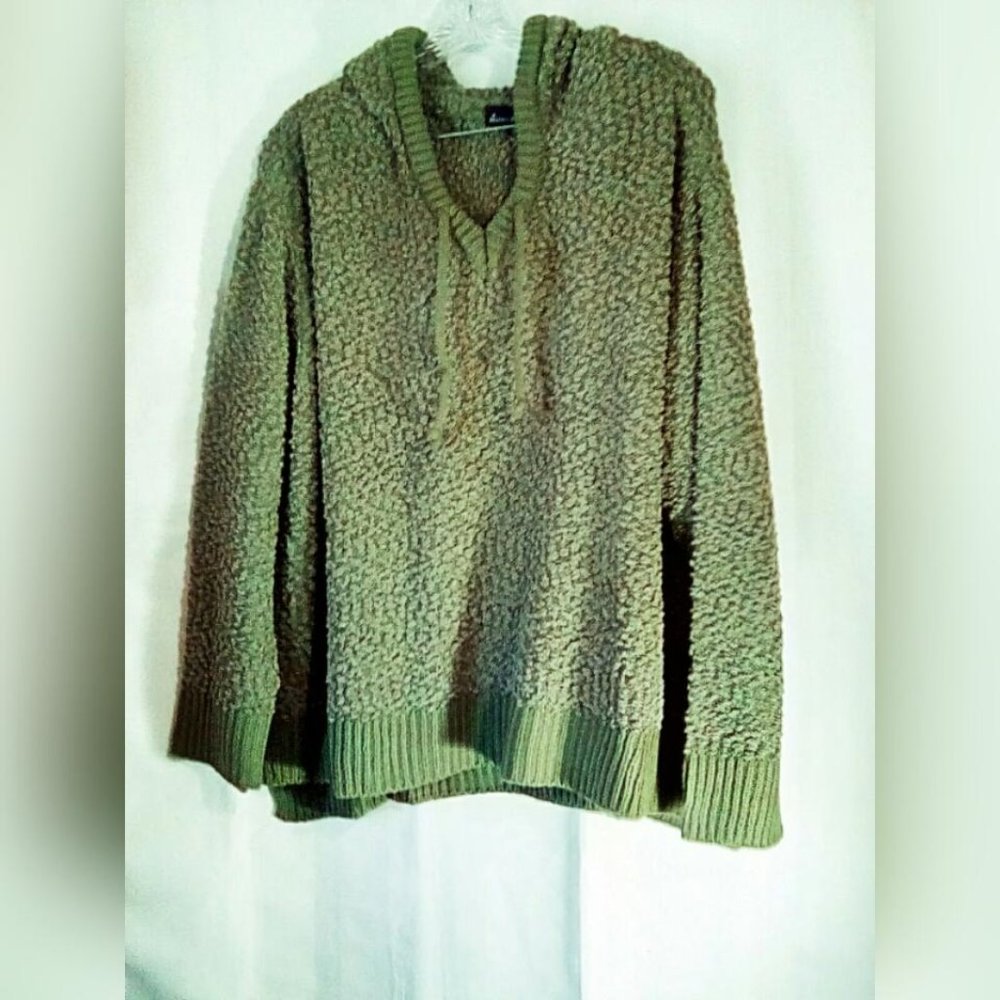 Alison Andrews Sweater Pullover Hooded Sz XL Green Popcorn Thick Cozy